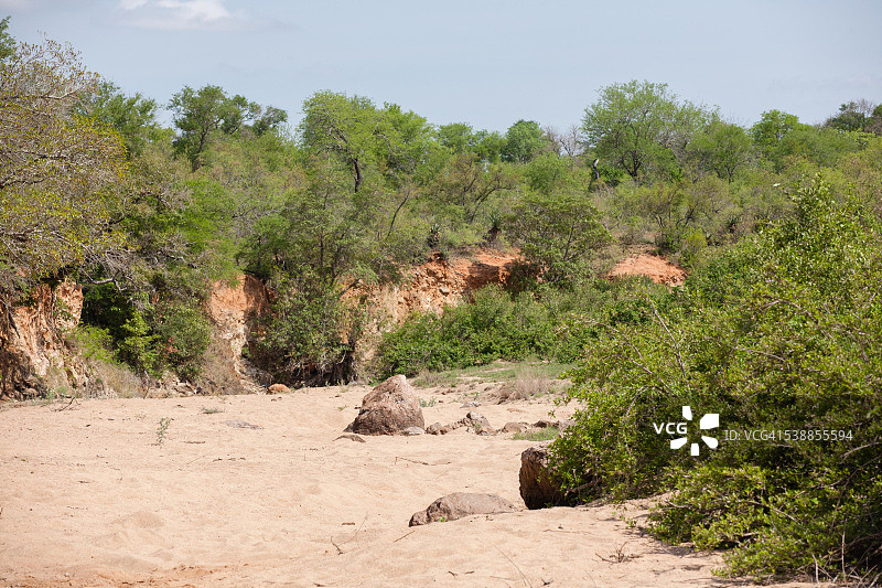 克鲁格国家公园的荒野风光图片素材
