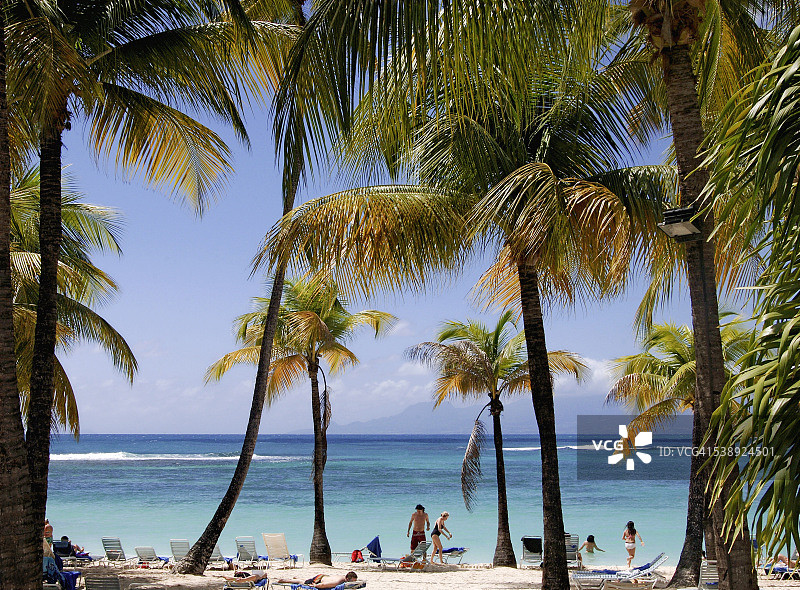 参观瓜德罗普岛图片素材