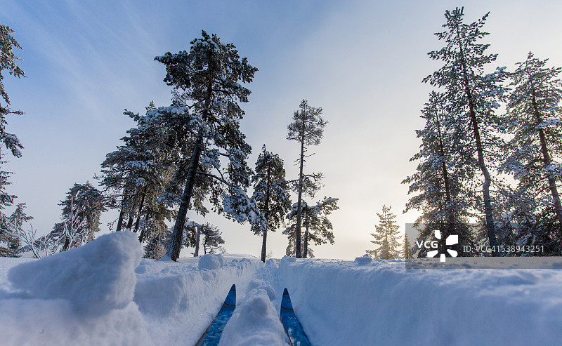 在阳光明媚的天气里滑雪图片素材