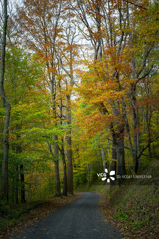 秋季公路图片素材