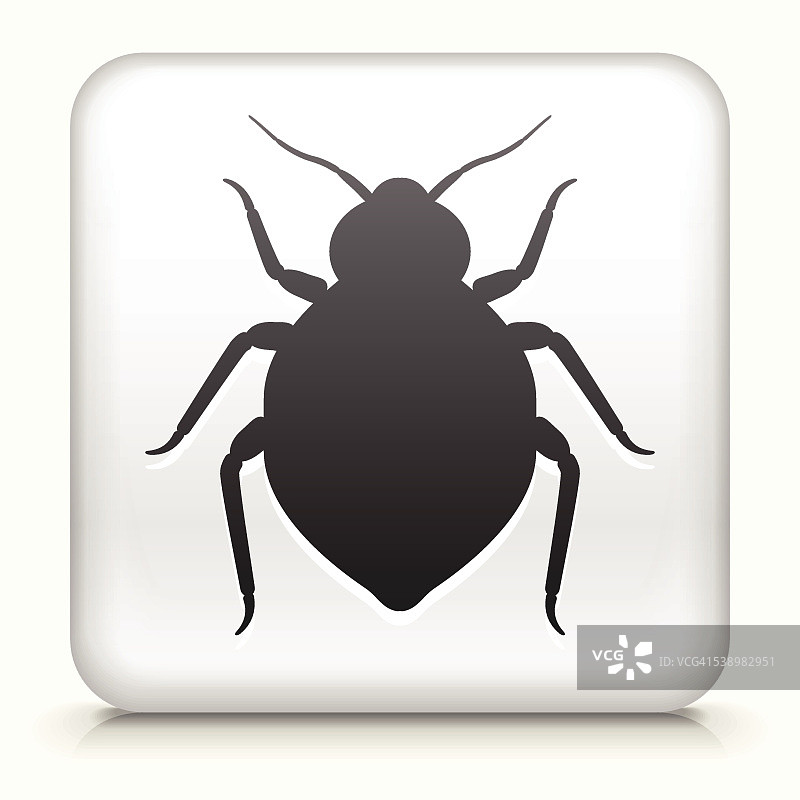 臭虫免版税矢量艺术方形按钮图片素材