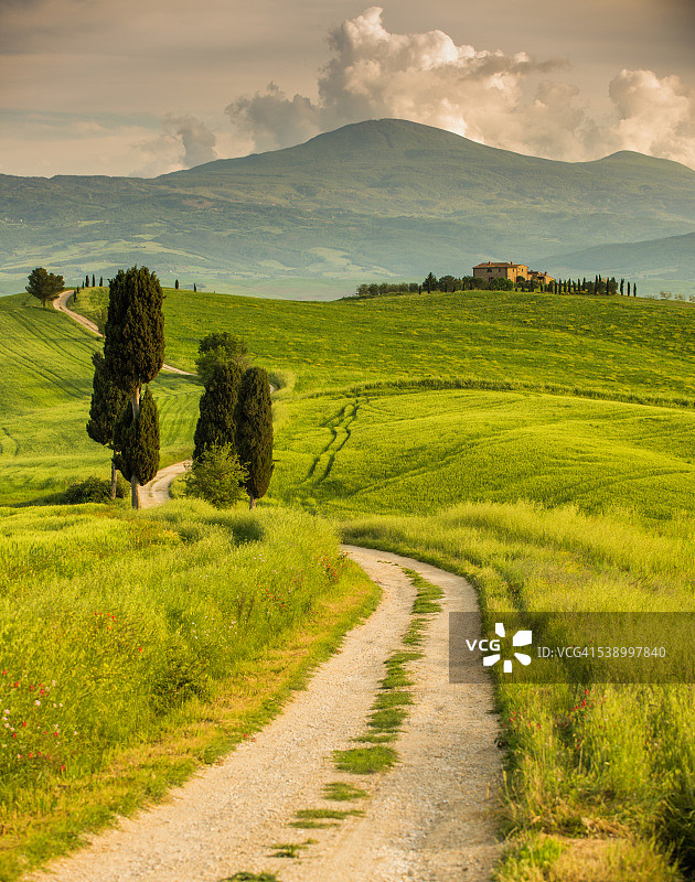 托斯卡纳蜿蜒的道路图片素材