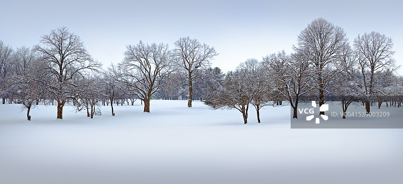 雪景中的冰霜树木全景图片素材