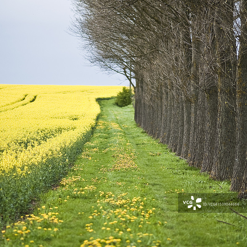 乡村景观图片素材