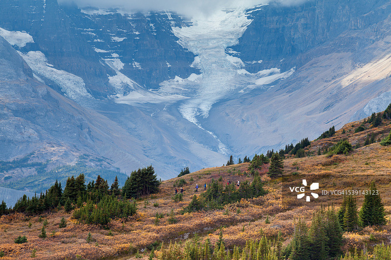 贾斯珀国家公园威尔科克斯通道景色图片素材