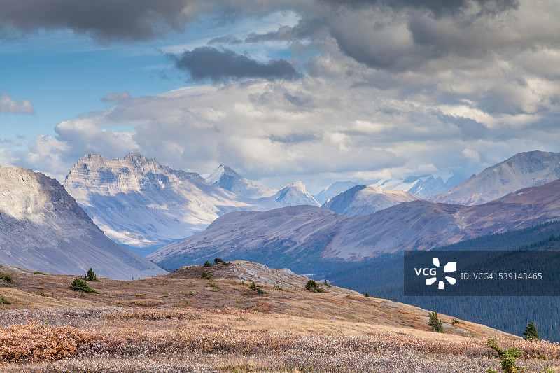 贾斯珀国家公园威尔科克斯通道景色图片素材