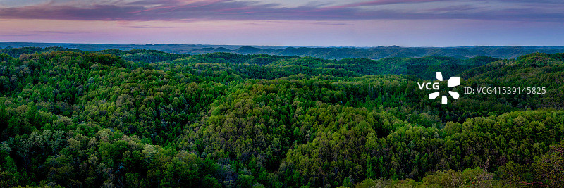 丹尼尔·布恩国家森林图片素材