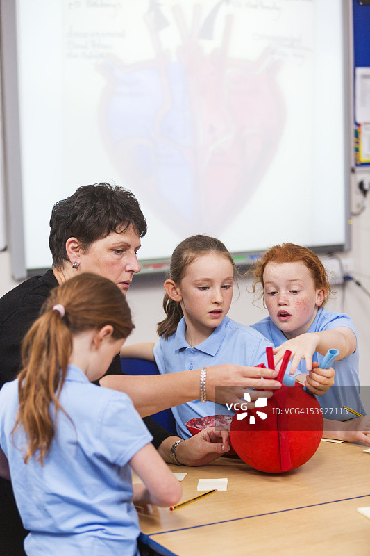学生学习心脏知识图片素材