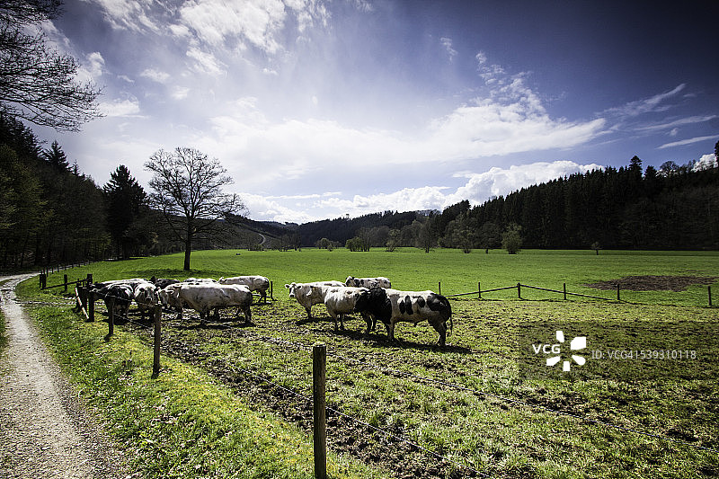 比利时阿登地区风光图片素材
