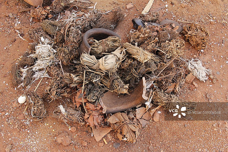 多种植物巫术图片素材