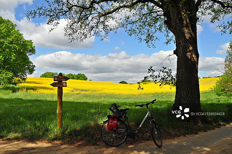 骑自行车旅行图片素材