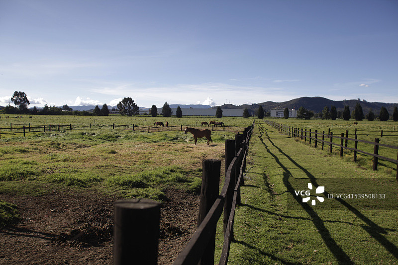 波哥大热带草原图片素材
