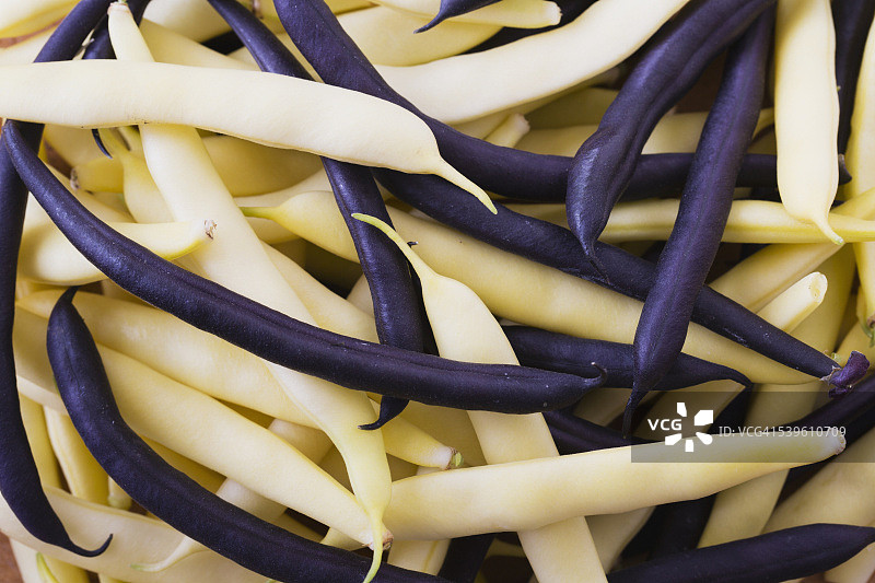 白芸豆和紫芸豆图片素材