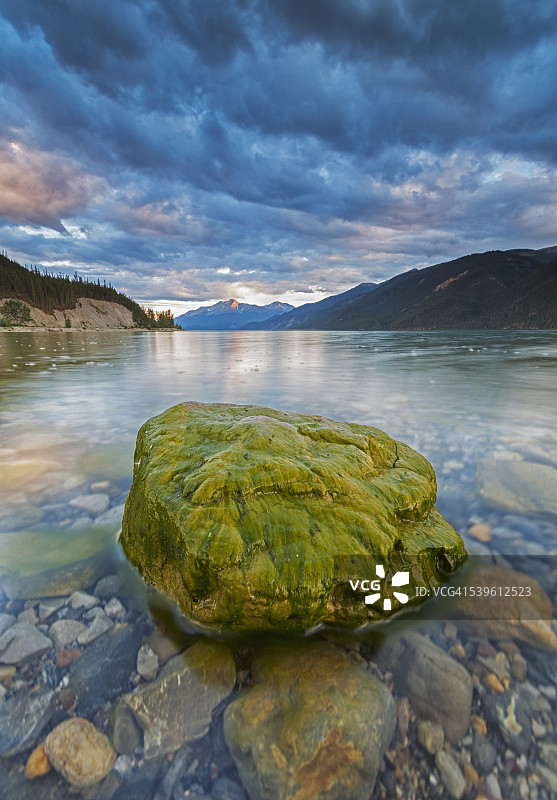 覆盖着藻类的岩石，芒楚湖图片素材