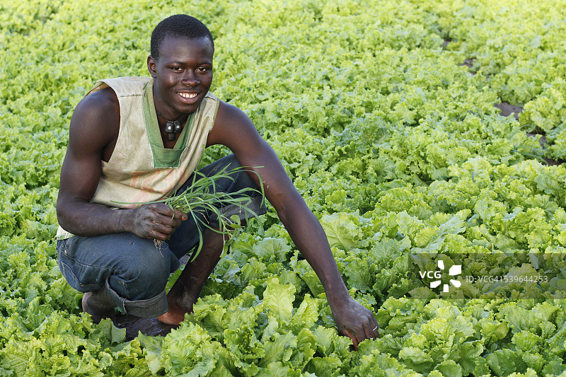一个手里拿着草药的微笑男人图片素材