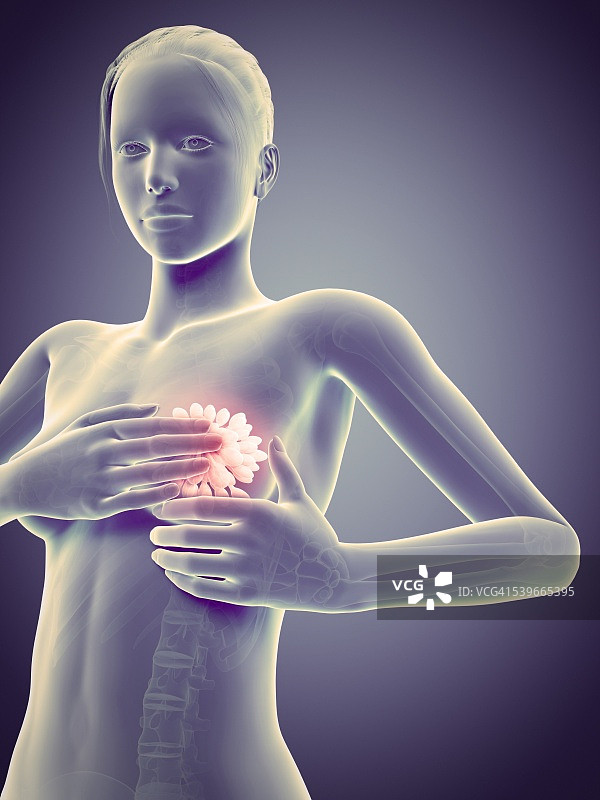 女性乳房检查插画图片素材