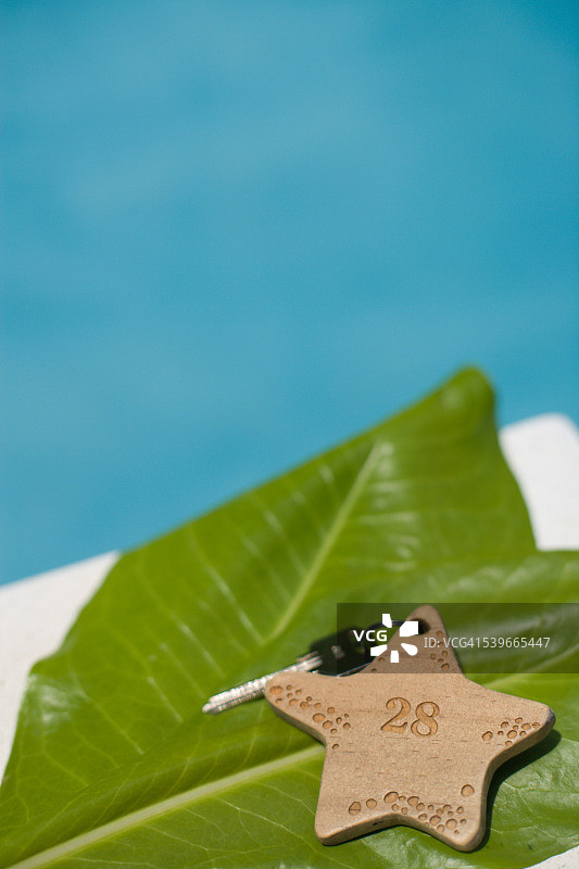 马尔代夫泳池边的树叶上的房间钥匙图片素材