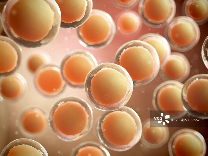 人体细胞，图示图片素材