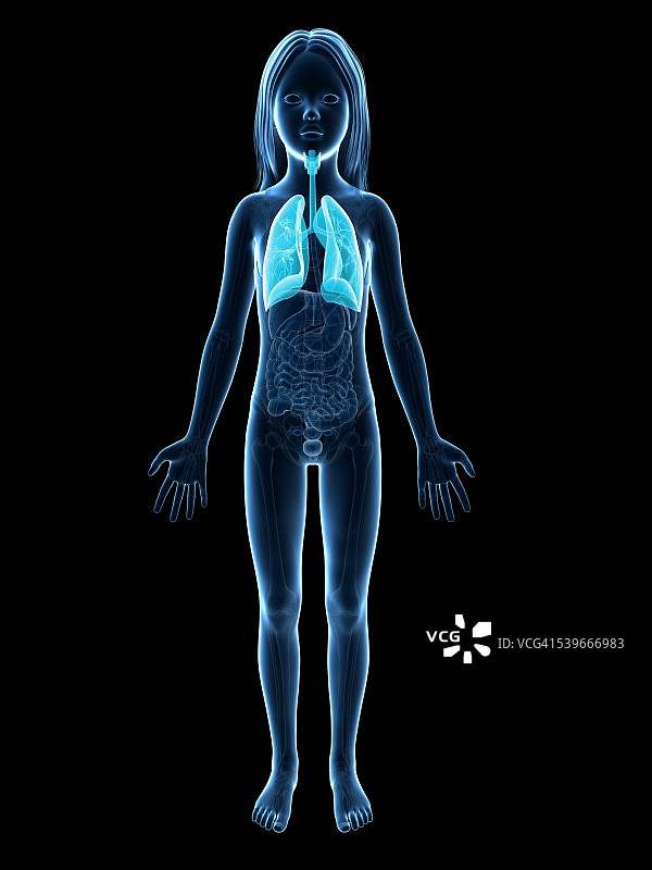 女孩的肺部插图图片素材