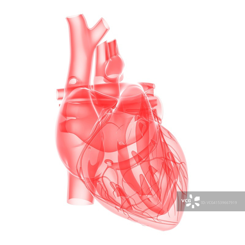 人类的心,说明图片素材