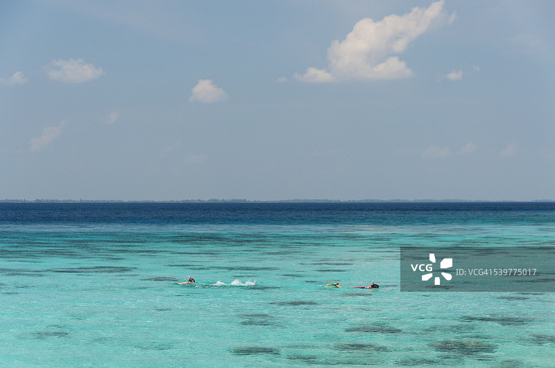 猪湾与浮潜者海景图片素材