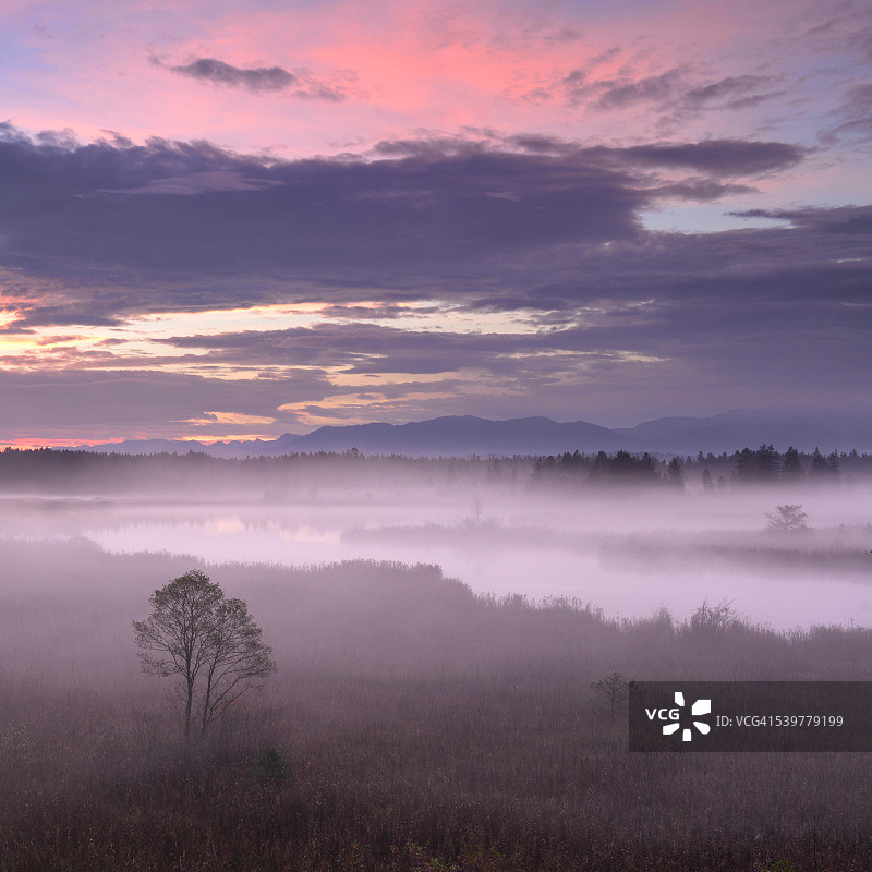 奥斯特西恩湖生物圈保护区的雾蒙蒙早晨图片素材