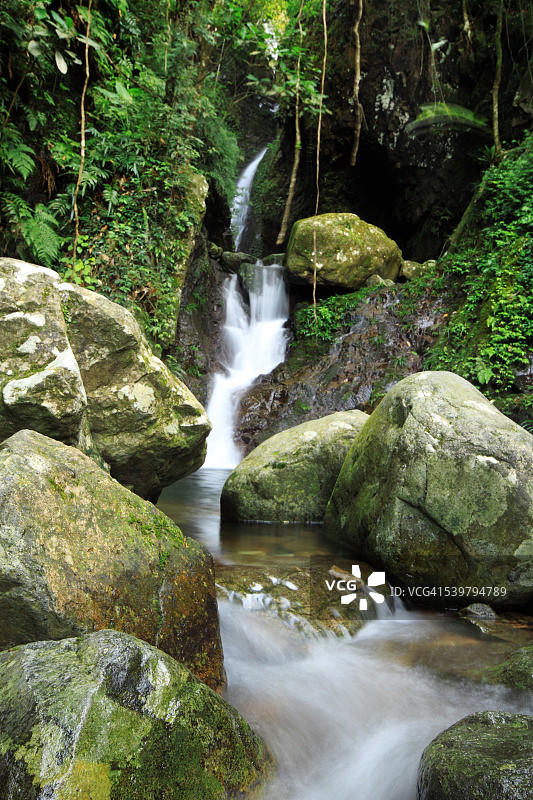雨林中流入池塘的瀑布图片素材
