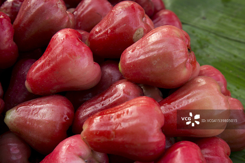 一堆蒲桃图片素材