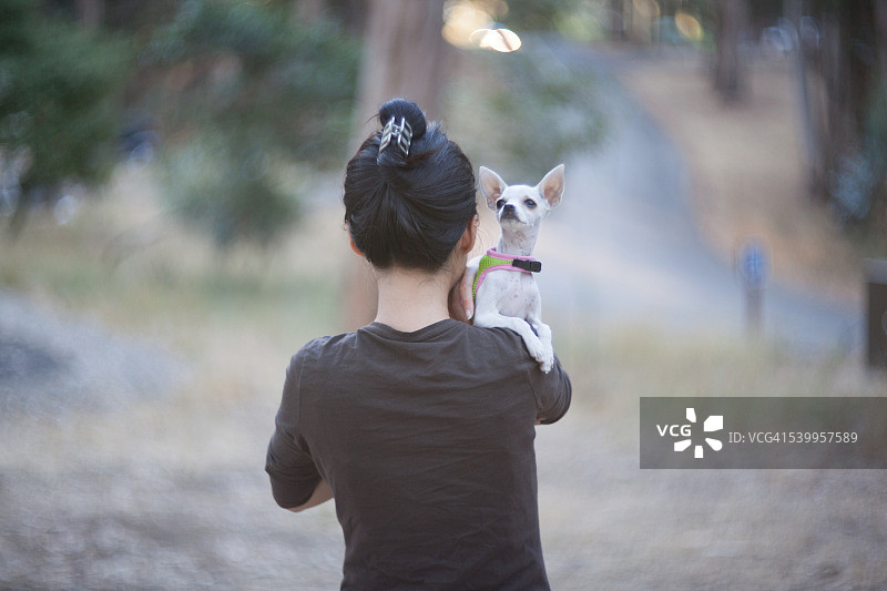 我的英雄图片素材