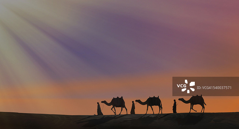 日落时分，三个阿拉伯男人和骆驼图片素材