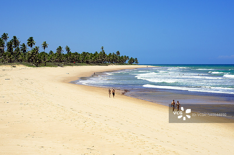 巴西福特海滩风光图片素材