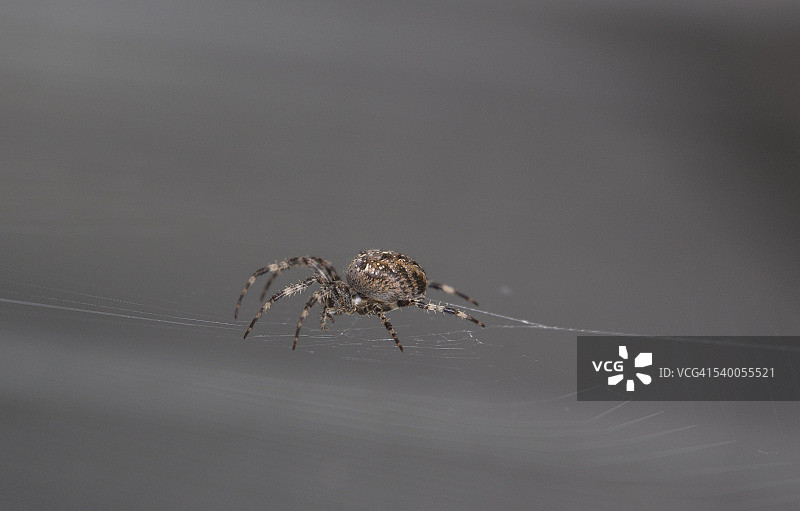 网页设计师图片素材