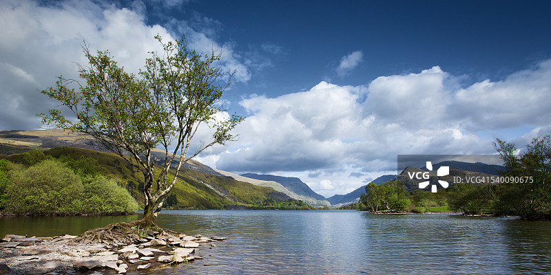 Llyn Padarn湖与树图片素材