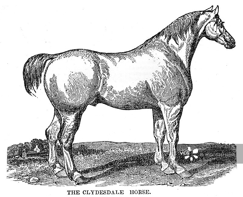 克莱兹代尔马，1841年图片素材
