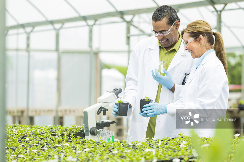 在温室里工作的快乐的生物学家图片素材