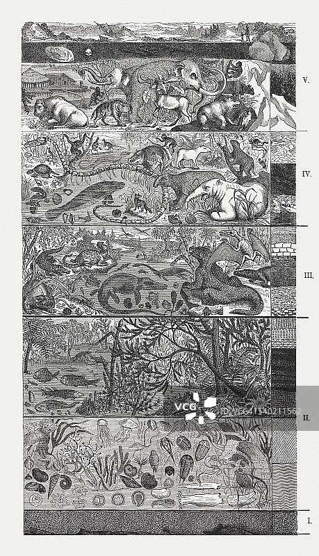 1872年地质年代尺木刻版画图片素材