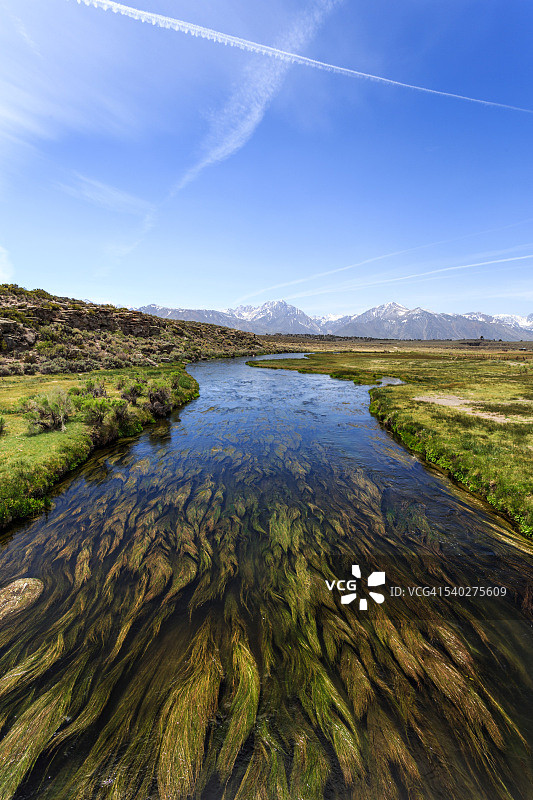 顺其自然图片素材