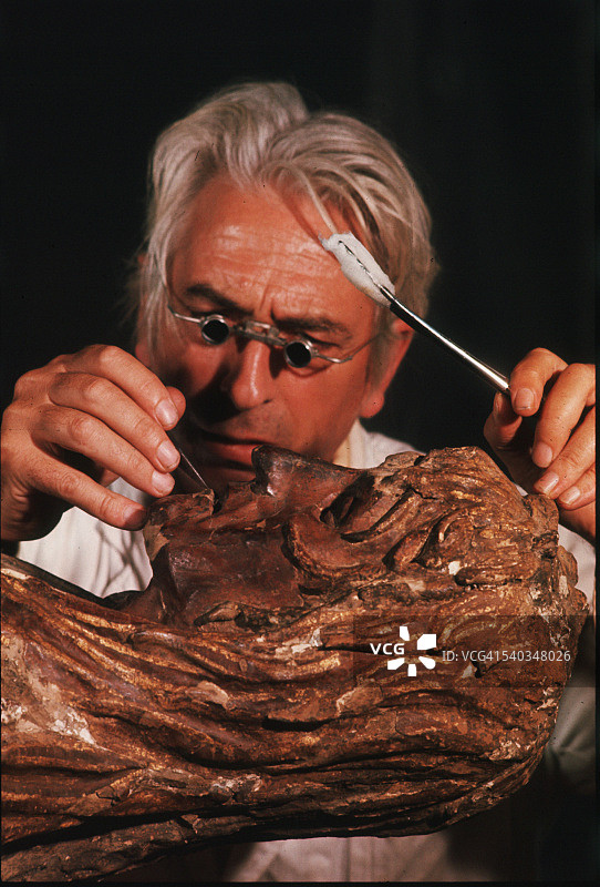 巴内拉教授修复多纳泰罗的《抹大拉的玛丽亚》图片素材