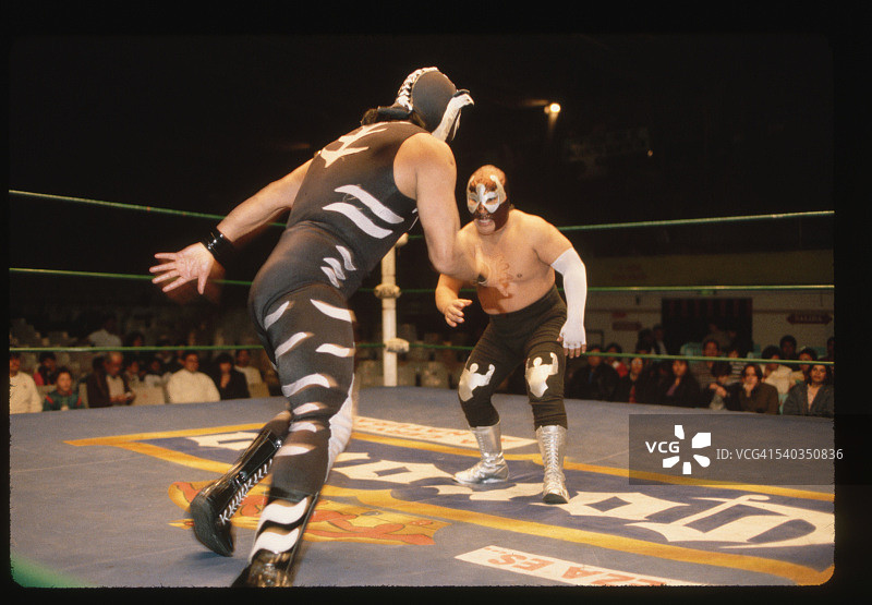 擂台上的两名职业摔跤手图片素材