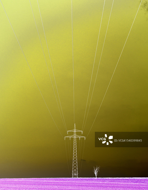 输电塔与枯树图片素材