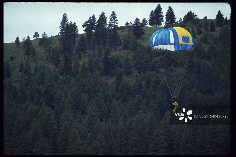 在森林上空跳伞的实习生图片素材