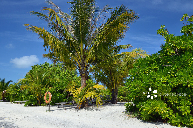马尔代夫海滩：博杜菲诺卢岛，南马累环礁图片素材