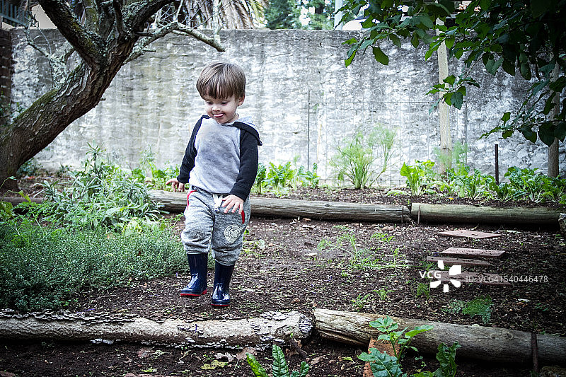 在蔬菜园里漫步图片素材