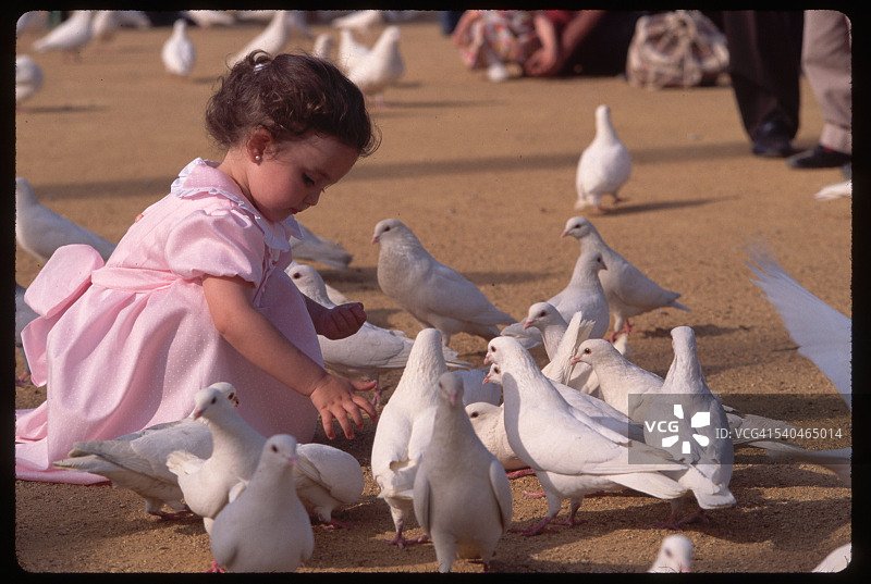 在塞维利亚喂鸽子的女孩图片素材