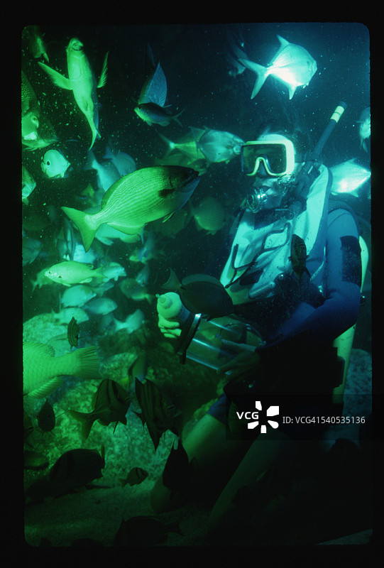 潜水员在水族馆喂鱼图片素材