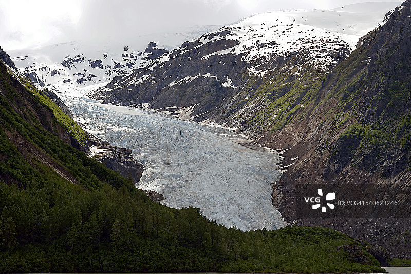 不列颠哥伦比亚省的熊冰川图片素材