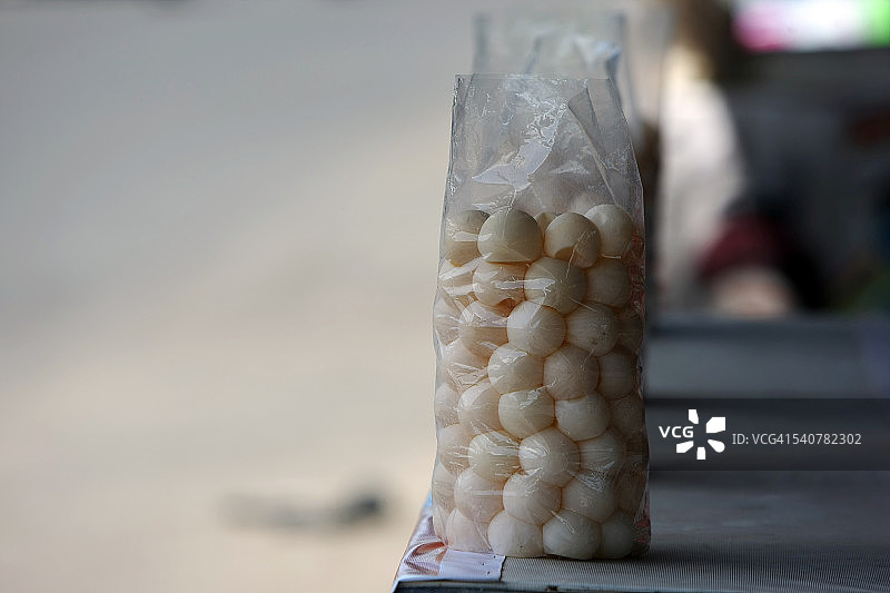 海龟蛋图片素材