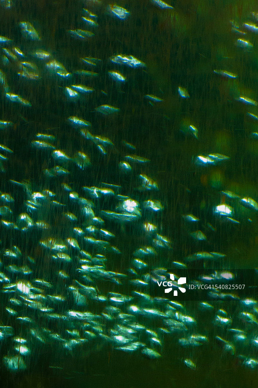 抽象的世界图片素材