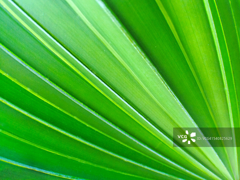 抽象的世界图片素材