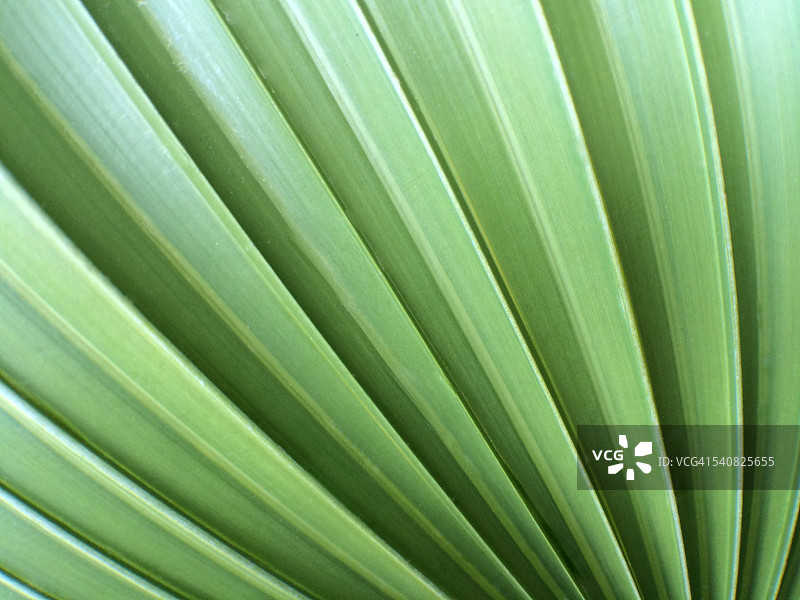 抽象的世界图片素材